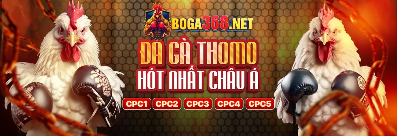Hình ảnh tổng quan về ee888 trang chủ chính thức, thể hiện sự chuyên nghiệp và uy tín